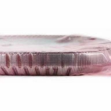 2KG JF017E RE0F10D سلسلة حزام علبة التروس لـ TEANA X Trail QASHQAI 901074 901089 901096